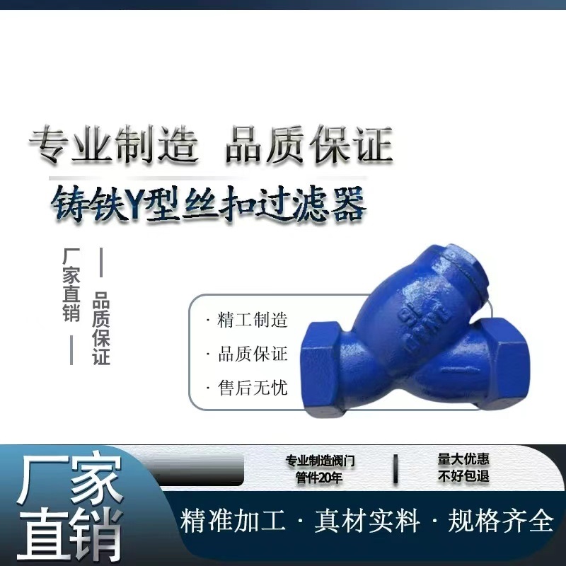 伟鹏双兴 蓝色铸铁丝扣过滤器 DN20 台高清大图