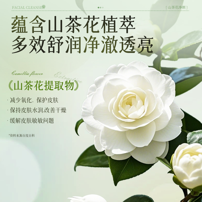 FONCE梵西 山茶花氨基酸净颜洁面乳 深层清洁控油保湿 100g -高清大图