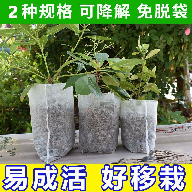无纺布育苗袋树苗营养袋可降解容器苗圃营养袋园林美植袋-【平口】;【100个】高清大图