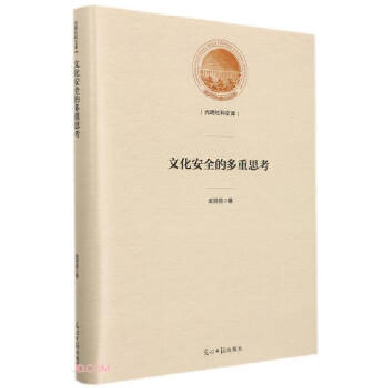 正版新书】文化安全的多重思考武丽丽著9787519462208