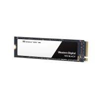 西部数据(WD) 黑盘 1TB SSD固态硬盘 M.2接口 (NVMe协议)老款