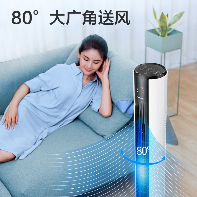 格力塔扇 5档风速 风轮可拆 清洁便捷 FL-09X62Bhc 白+黑色 电风扇落地电扇