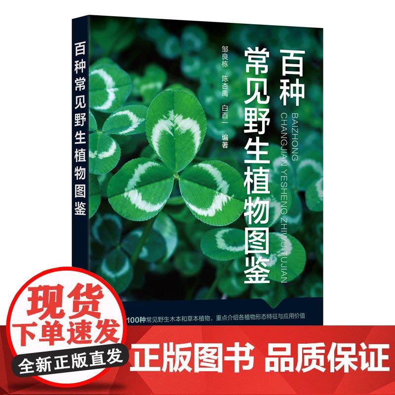 百种常见野生植物图鉴 邹良栋 化学工业出版社 正版书籍图片