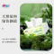 心相印DT5100 茶语经典抽纸3层100抽24包/箱
