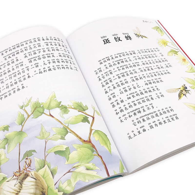假如给我三天光明彩图注音版儿童共享丛书小学生6810岁中国儿童文学童话故事书一 假如给我三天光明高清大图