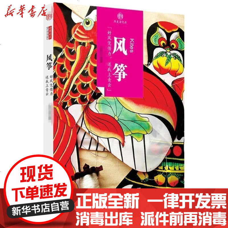 新华书店正版风筝9787546141411山社书籍视频