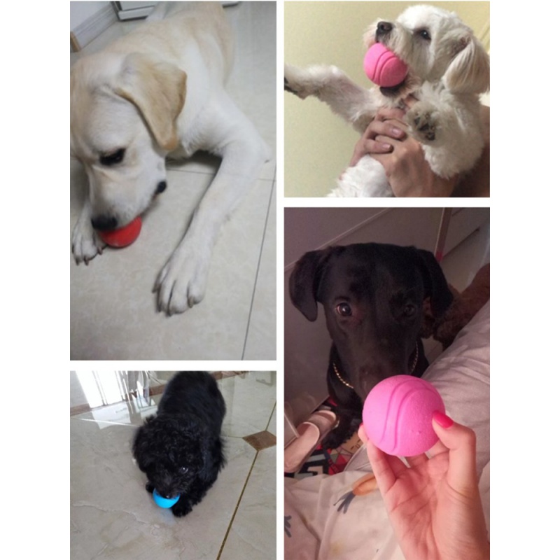 宠物狗狗玩具球耐幼犬咬磨牙逗狗弹力球大型犬橡胶实心穿绳训练球高清大图