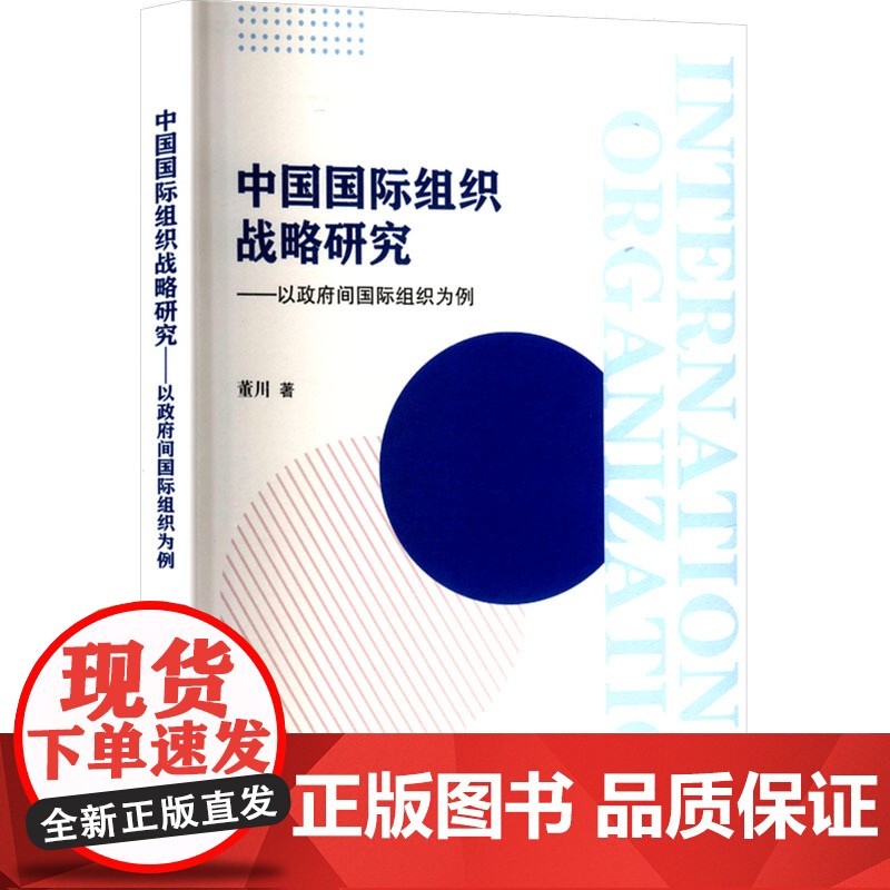 中国国际组织战略研究——以政府间国际组织为例 董川 著 天津人民出版社 战略管理 战略管理