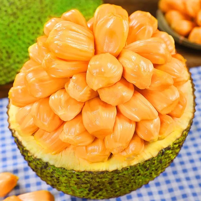 [苏鲜生]海南红肉菠萝蜜 新鲜水果 香甜可口 1个 净重10-12斤装 西沛水果高清大图