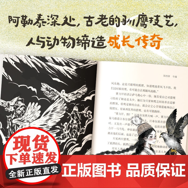 [10岁以上]驯鹰女孩 孙施著 中信出版社图书 正版高清大图