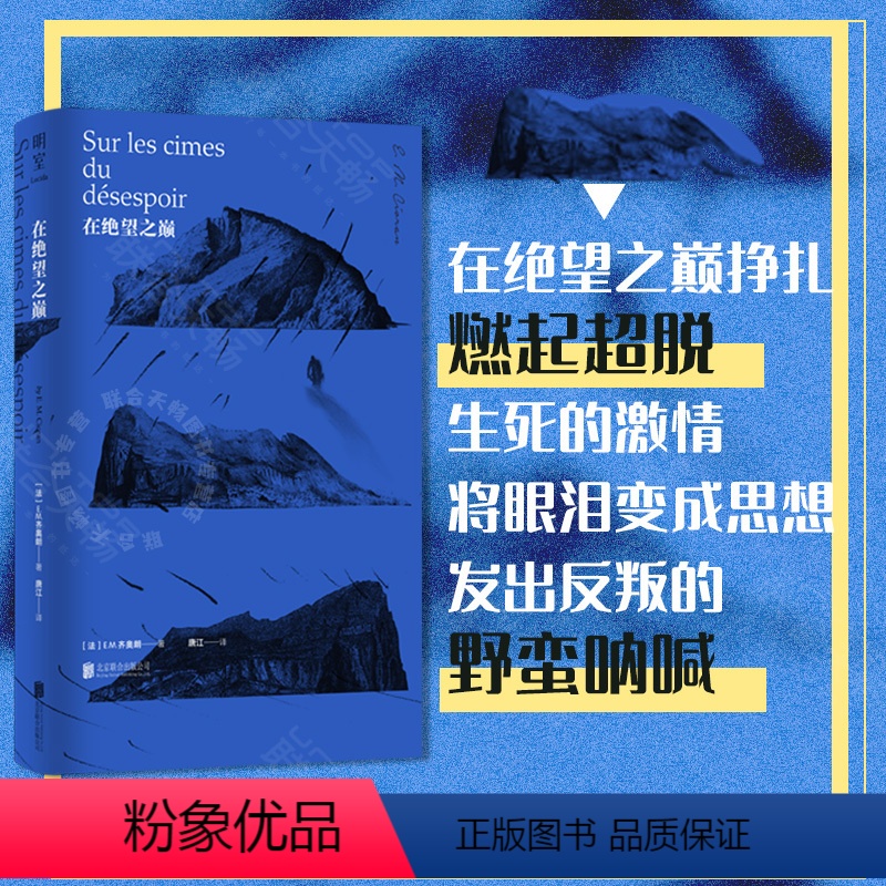 [正版]直营在绝望之巅 中文简体版 “二十世纪的尼采”现代欧洲伟大的哲学家 E.M.齐奥朗初试啼声之作 西方哲学书籍高清大图