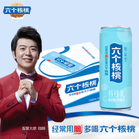 W养元六个核桃 精益型六个核桃核桃乳240ml*20整箱装 新老包装交替发货