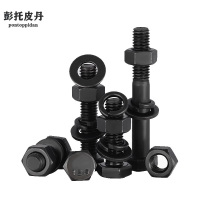 彭托皮丹 螺栓 M4*30