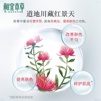 相宜本草BB霜红景天隔离遮瑕粉底液提亮肤色保湿不脱妆正品50g