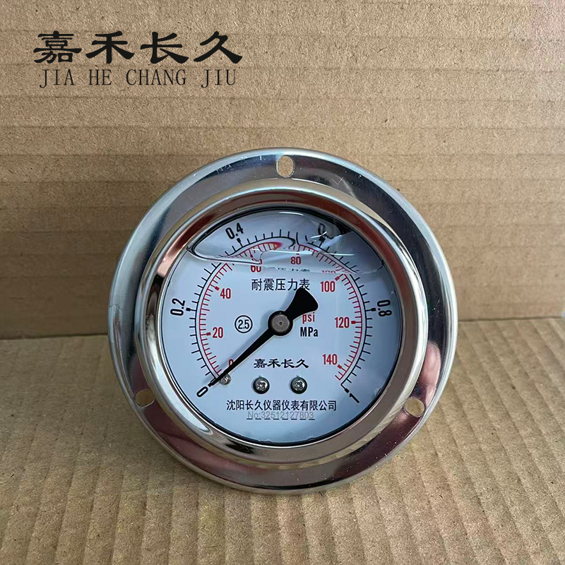 嘉禾长久 耐震压力表轴向带边(带辽宁省级检定证书)YTN60ZT 块高清大图