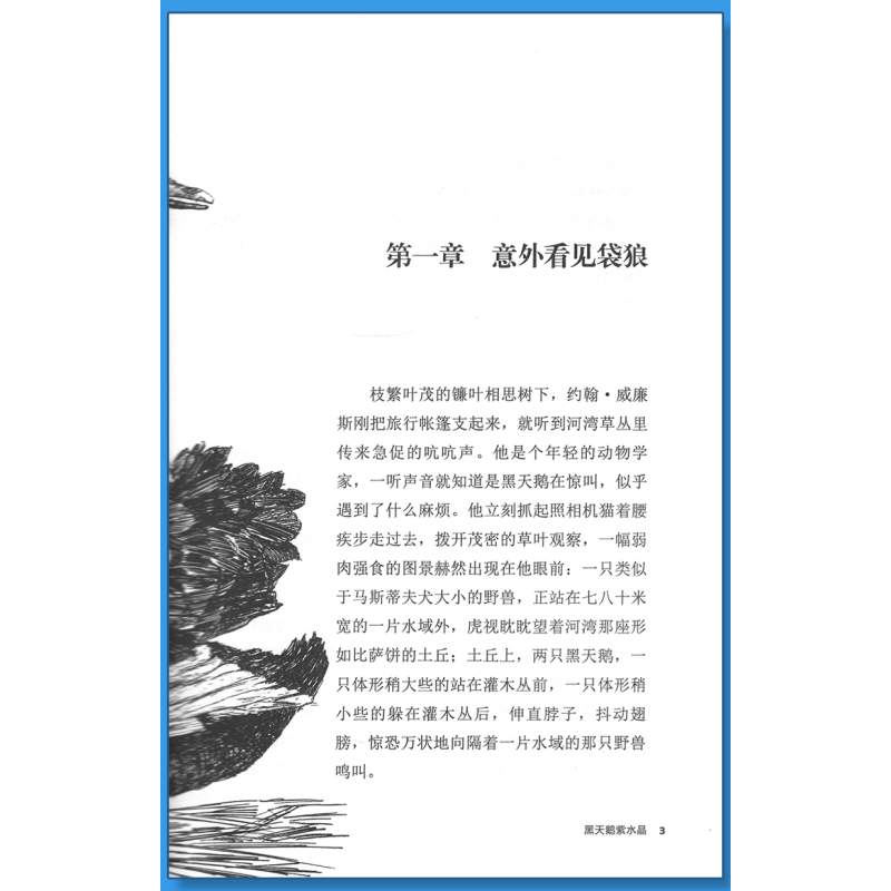 混血豺王 [正版]黑天鹅紫水晶沈石溪小学四年级五年级全集全套书浙江少年儿童出版社版完整版动物小说大王品藏书系生课外阅读经