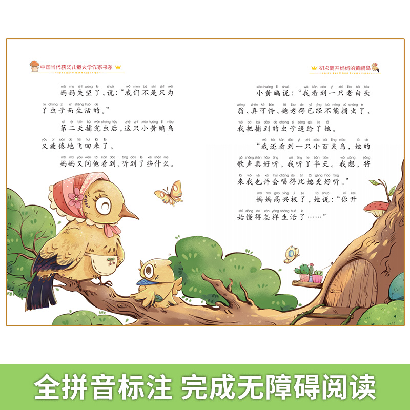 音像中国当代获奖儿童文学作家第二辑(10册)礼盒装张秋生 等