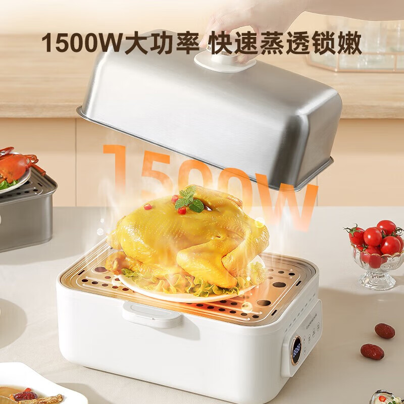 乐扣乐扣(LOCK&LOCK)多功能锅家用电热炖锅EJP3225IVY 16L高清大图