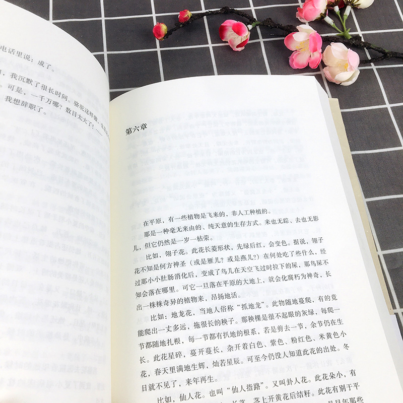 [正版]生命册 李佩甫著 文学名家名著 茅盾文学奖获奖作品全集 现代文学 小说作品集名家作品书 生活哲学书 现当代文学高清大图
