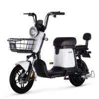 绿源新国标电动自行车48V12AH 翻糖