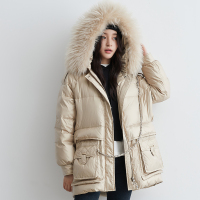 鸭鸭(yaya)新品女士中长款连帽女时尚保暖羽绒服外套
