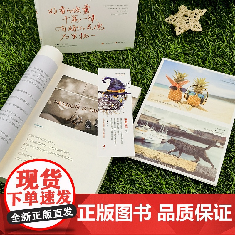 好看的皮囊千篇一律有趣的灵魂万里挑一+世界那么大我要去看看(全2册)老杨的猫头鹰作品“醒脑之书”系列之三写给年轻人的正能高清大图