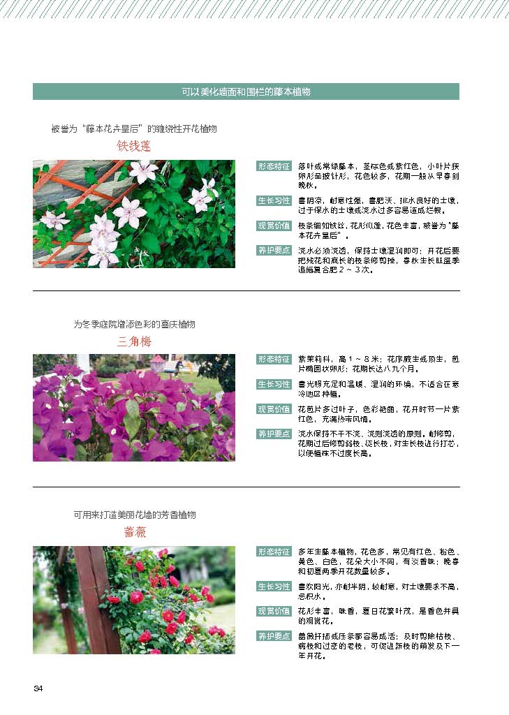 [正版]超实用小庭院景观设计 露台公园花园花卉设计赏析详解 园艺爱好者 景观设计师实用参考书庭院设计技巧展示经典案例书高清大图