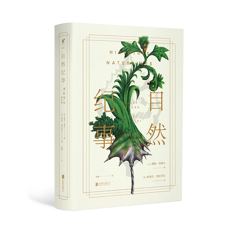 [正版]自然纪事 神秘天书 《塞拉菲尼抄本》前传 致敬与《昆虫记》比肩的自然文学经典高清大图