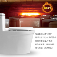法恩莎马桶 大力神冲水抽水坐便器 坐厕虹吸式座便马桶坐便器 FB1655