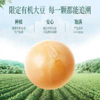 九阳黑土有机纯豆浆粉200g(袋装)