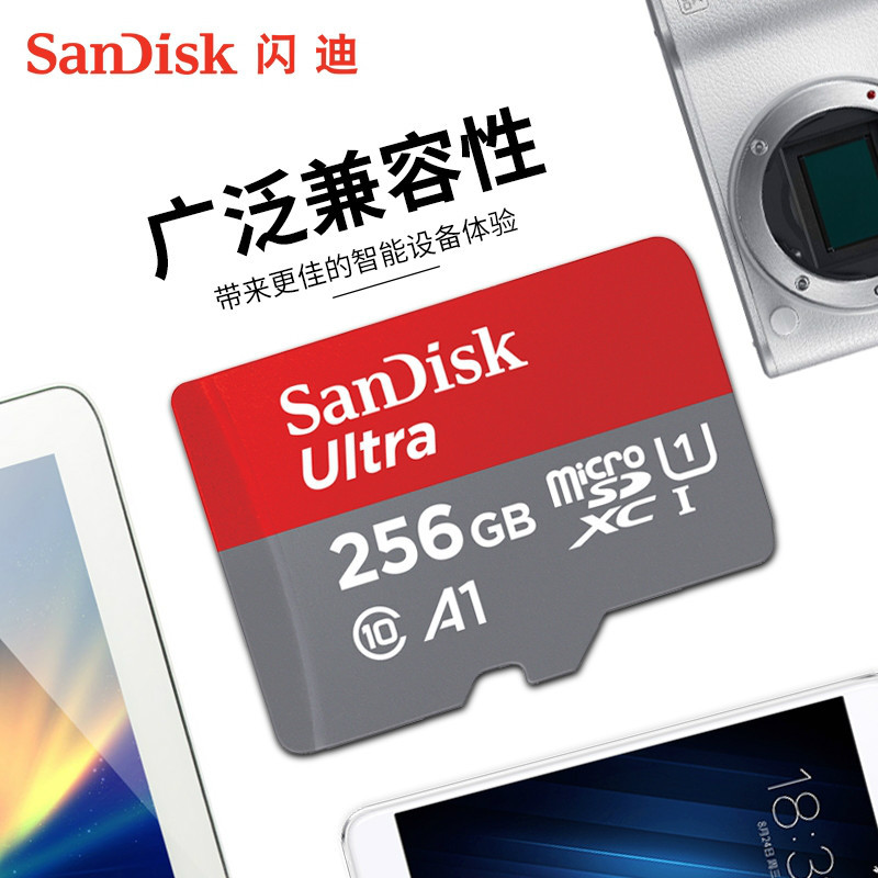 闪迪256G内存卡