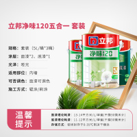 立邦 净味120五合一套装 油漆涂料内墙乳胶漆 墙面漆套装