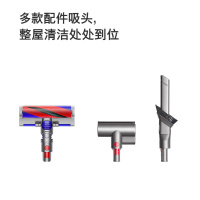 戴森(Dyson)无绳吸尘器 Micro 1.5kg 超轻量吸尘器手持无线手握式 铁镍色 除螨宠物家庭适用 新品