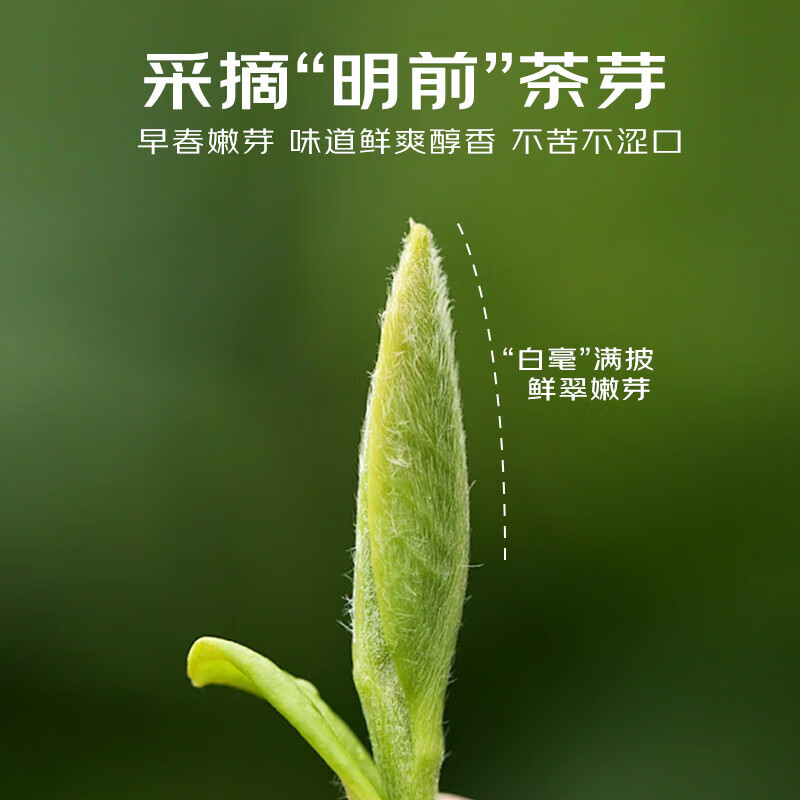 小茶日记SGZW-MJ-300g小茶日记 绿茶 正宗信阳毛尖300g明前春茶嫩芽茶叶礼盒高清大图