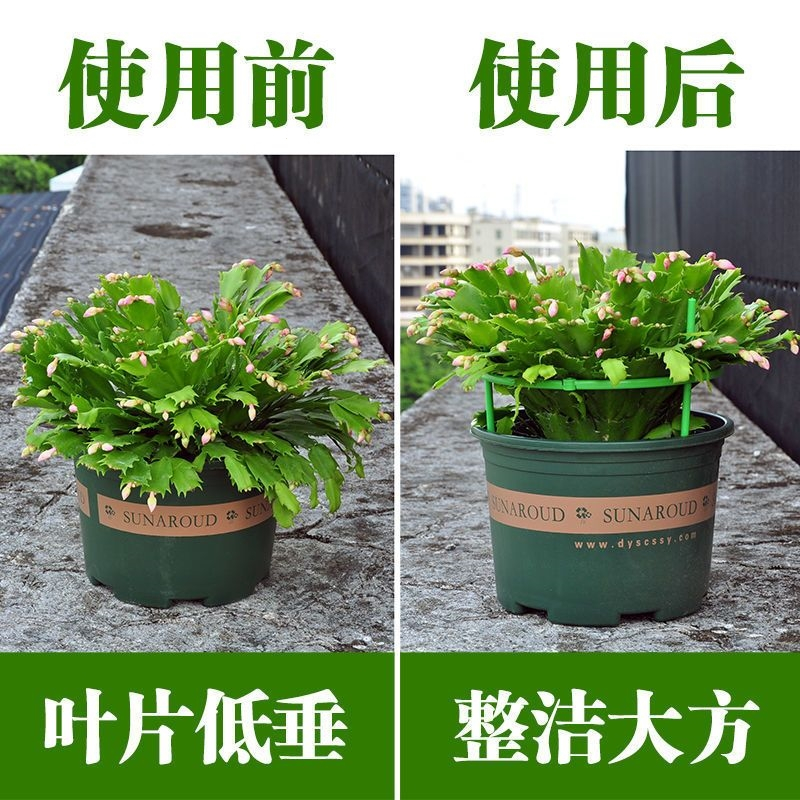 藤印象植物爬藤架子多层可拼接园艺支架绿萝支架室内阳台支撑杆户外花架