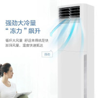 格力 GREE清凉风变频冷暖2匹2级能效柜机空调KFR-50LW/(50536)FNhAc-B2JY01-