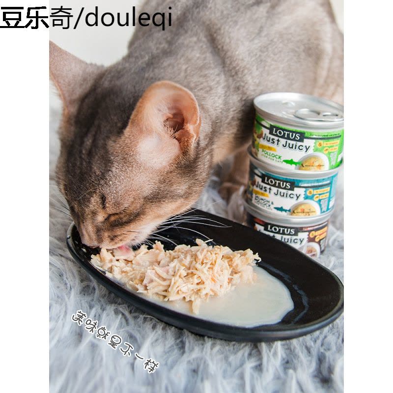 静一美国LOTUS璐特思莲花原汁猫罐头JUSTJUICY无谷猫罐汤罐70g图片