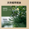 茶树冷制手工皂植物萃取清爽控油自然清新皂100g/块 肥皂 Z-8816