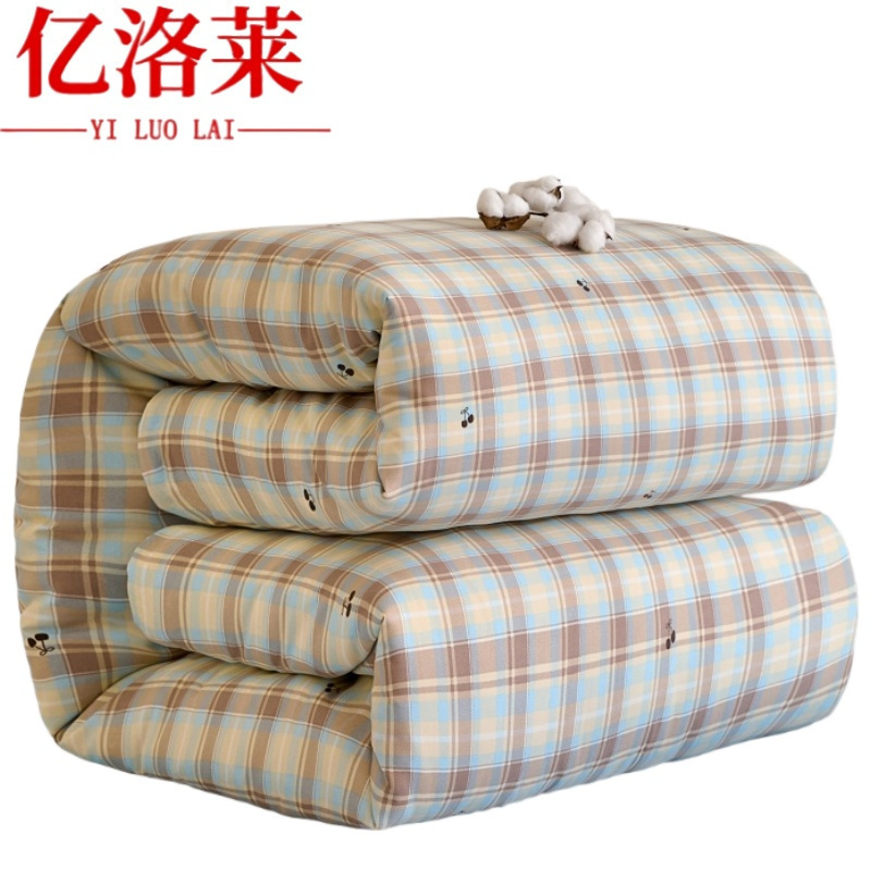 亿洛莱 冬被 200*230cm10斤 床高清大图