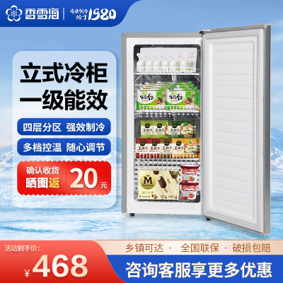 香雪海立式冷冻柜一级能效省电小巧不占地 租房 公寓 大容量BD-65天际灰