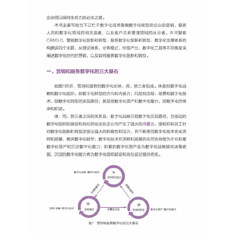 正版新书]营销和服务数字化转型:CRM3.0时代的来临(升级版)杨峻9高清大图
