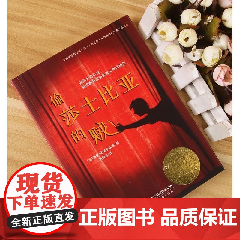 正版童书 偷莎士比亚的贼 大奖小说系列 恐怖悬疑推理犯罪小说看鬼故事外国儿童文学 侦探悬疑推理小说小学生课外阅读高清大图