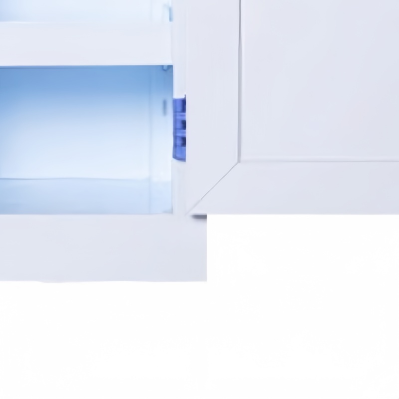 乐琪艺 酸碱柜 4加仑 台高清大图