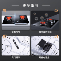 红日(RedSun)燃气灶红外线灶煤气灶双灶天然气灶液化气灶家用嵌入式灶具一级节能EM318B 天然气