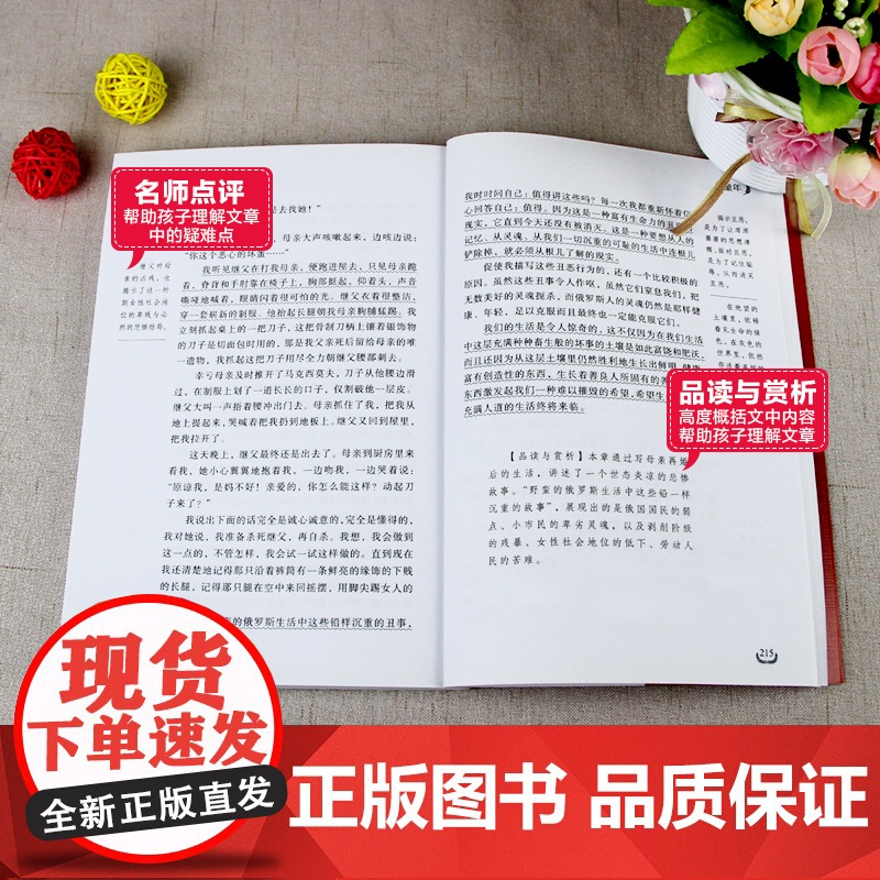 2025暑万物复书五升六童年六年级上册必读的课外书原著正版高尔基爱丽丝漫游奇境童年河赵丽宏爱的教育原版八桂悦读5年级下册高清大图
