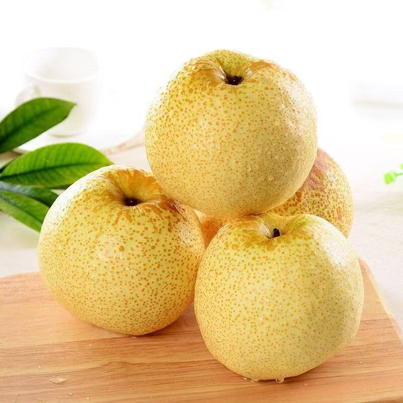 [熊猫鸟]新鲜云南雪花梨 3斤 中果 单果150-200g 应当季整箱翠冠梨香酥梨