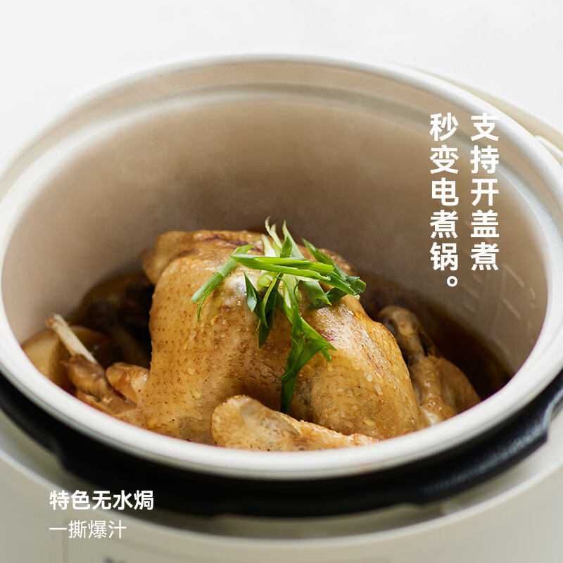 OLAYKS 5L立时电压力锅 OLK-507D 白色微电脑按键控单胆快煮设计适合3-6人家庭使用高清大图