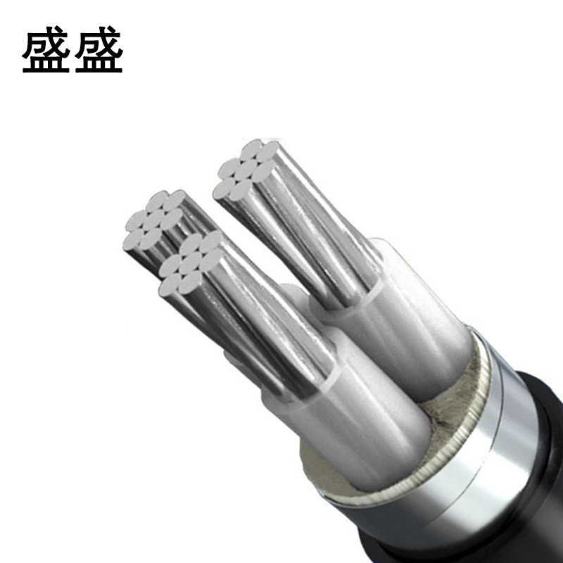 盛盛 铝芯铠装电缆 YJLV22 米(YJLV22 3*70)高清大图