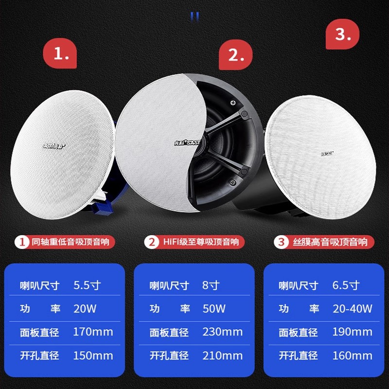 先科(SAST)吸顶式2.0家庭影院音响套装电视机家用客厅吊顶音箱3d环绕立体声嵌入式重低音功放套装蓝牙KTV高清大图