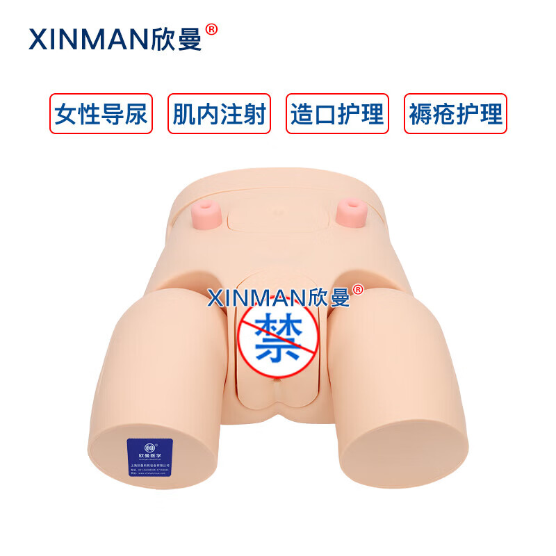 欣曼科教 高级女性导尿操作训练模型 导尿练习模拟人XM-H11